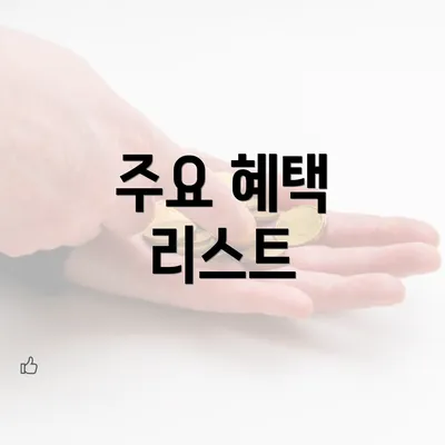 주요 혜택 리스트