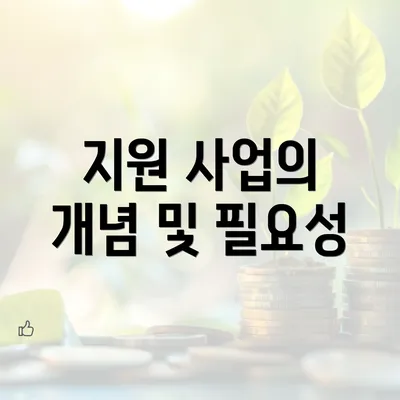 지원 사업의 개념 및 필요성