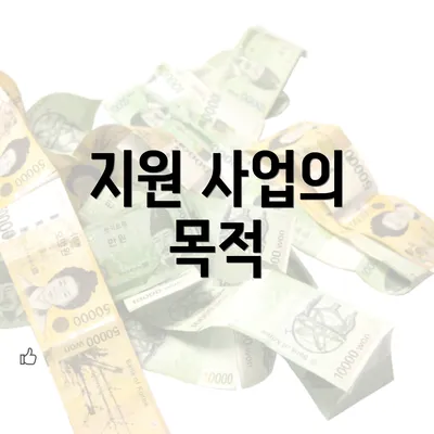 지원 사업의 목적