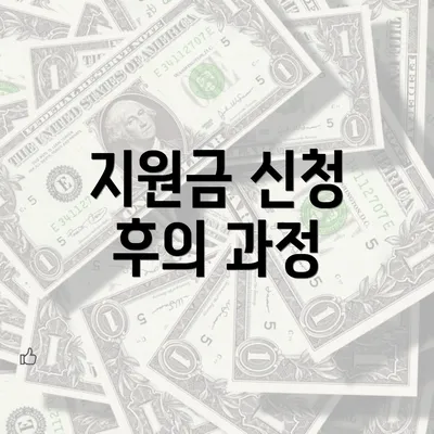 지원금 신청 후의 과정