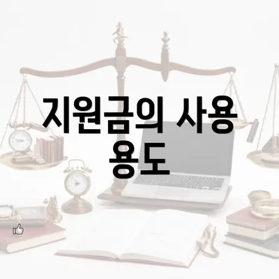 지원금의 사용 용도