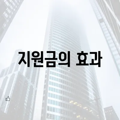 지원금의 효과