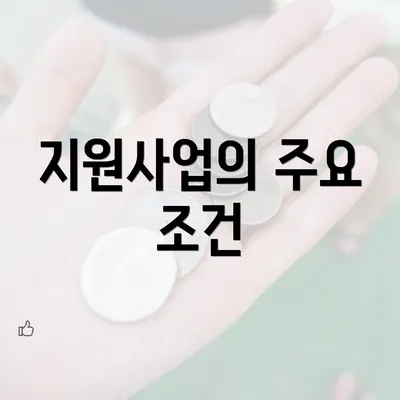 지원사업의 주요 조건