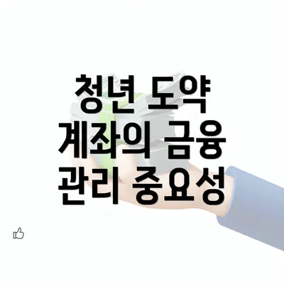 청년 도약 계좌의 금융 관리 중요성