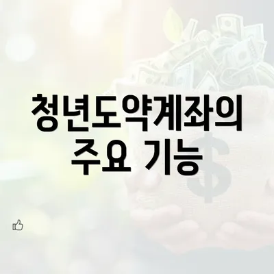 청년도약계좌의 주요 기능