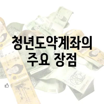 청년도약계좌의 주요 장점