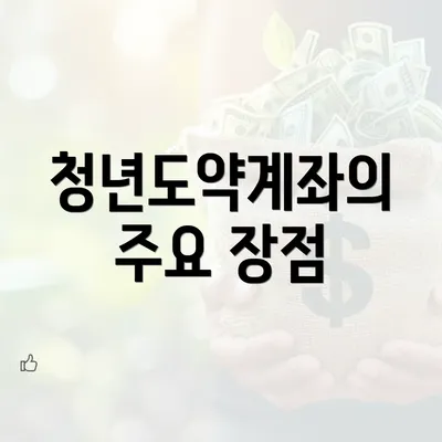 청년도약계좌의 주요 장점