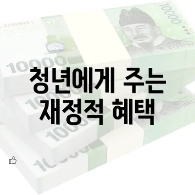 청년에게 주는 재정적 혜택