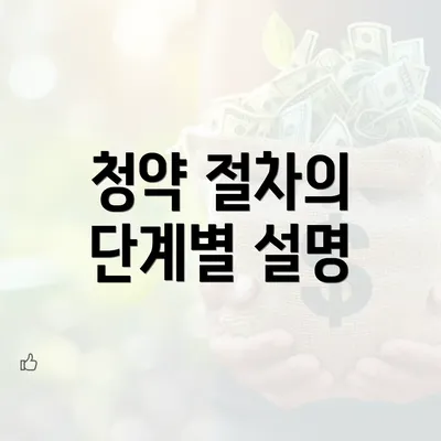 청약 절차의 단계별 설명