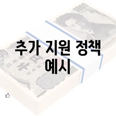 추가 지원 정책 예시