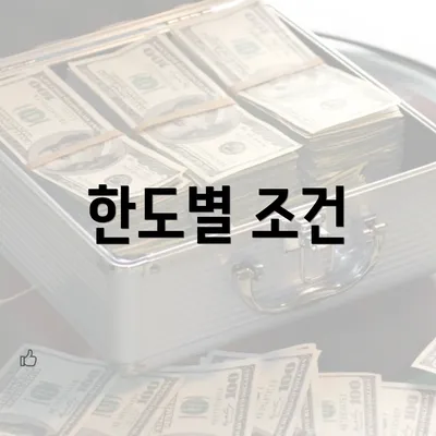 한도별 조건