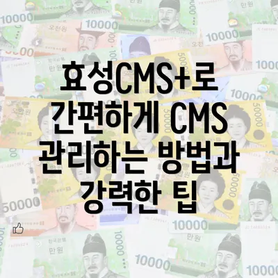 효성CMS+로 간편하게 CMS 관리하는 방법과 강력한 팁