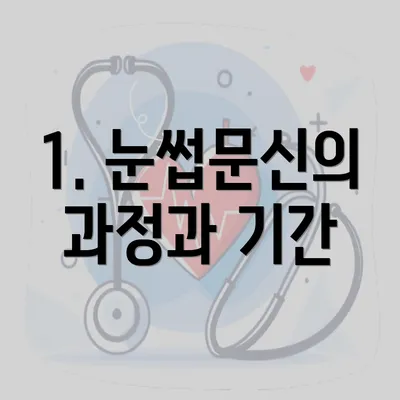 1. 눈썹문신의 과정과 기간