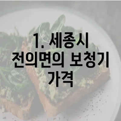 1. 세종시 전의면의 보청기 가격