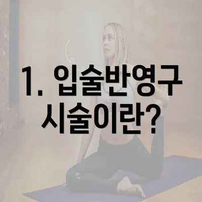 1. 입술반영구 시술이란?