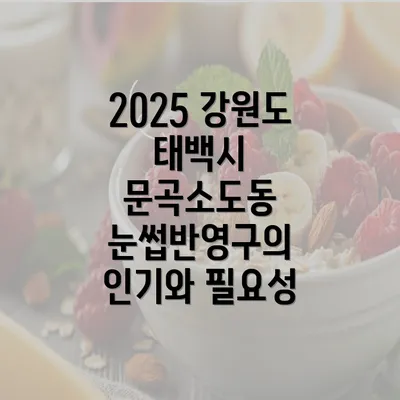 2025 강원도 태백시 문곡소도동 눈썹반영구의 인기와 필요성