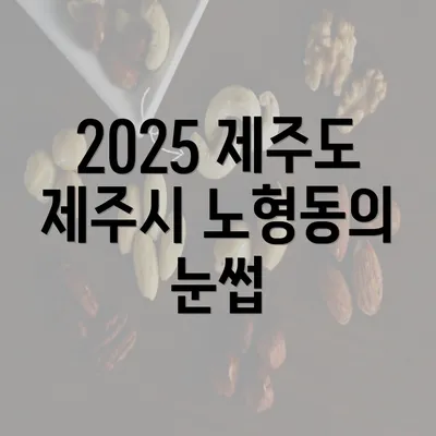 2025 제주도 제주시 노형동의 눈썹