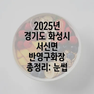 2025년 경기도 화성시 서신면 반영구화장 총정리: 눈썹