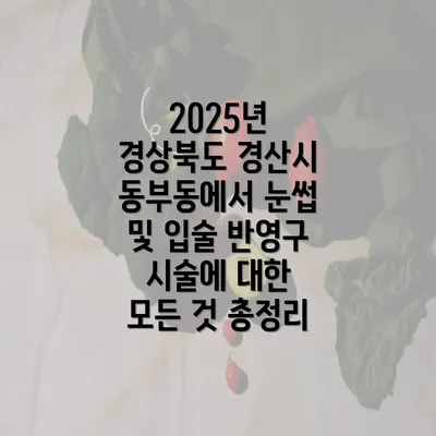 2025년 경상북도 경산시 동부동에서 눈썹 및 입술 반영구 시술에 대한 모든 것 총정리