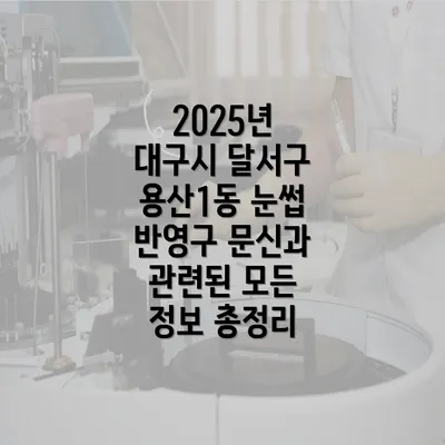 2025년 대구시 달서구 용산1동 눈썹 반영구 문신과 관련된 모든 정보 총정리