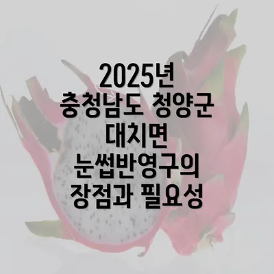 2025년 충청남도 청양군 대치면 눈썹반영구의 장점과 필요성