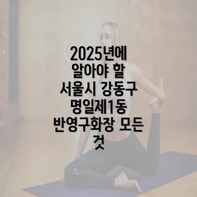 2025년에 알아야 할 서울시 강동구 명일제1동 반영구화장 모든 것