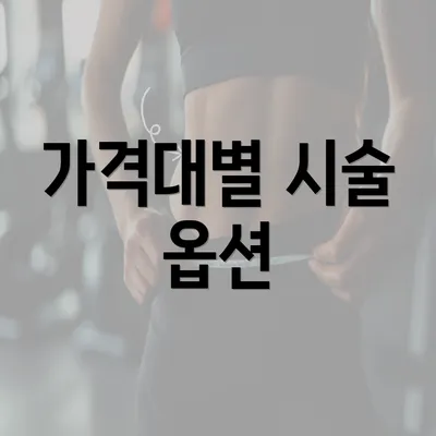 가격대별 시술 옵션