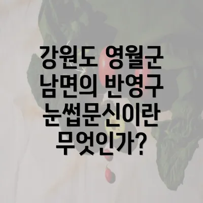 강원도 영월군 남면의 반영구 눈썹문신이란 무엇인가?