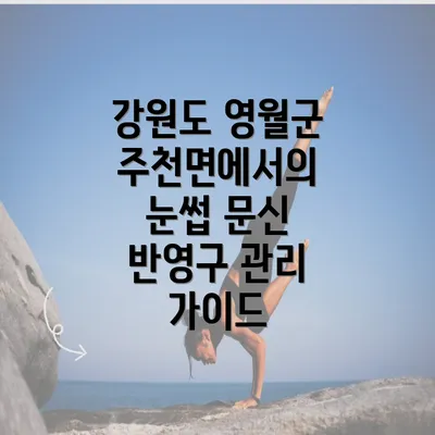 강원도 영월군 주천면에서의 눈썹 문신 반영구 관리 가이드