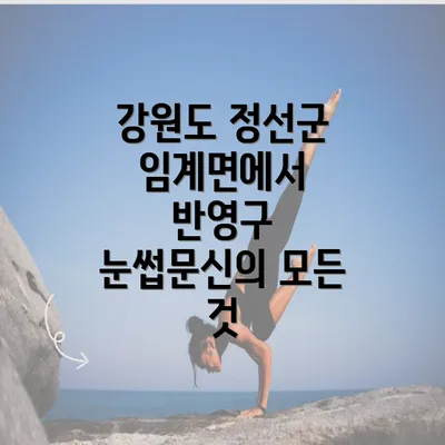 강원도 정선군 임계면에서 반영구 눈썹문신의 모든 것