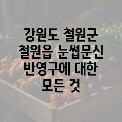 강원도 철원군 철원읍 눈썹문신 반영구에 대한 모든 것