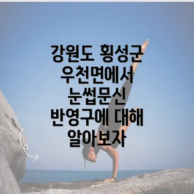 강원도 횡성군 우천면에서 눈썹문신 반영구의 인기 비결