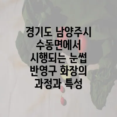 경기도 남양주시 수동면에서 시행되는 눈썹 반영구 화장의 과정과 특성