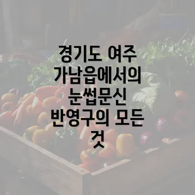 경기도 여주 가남읍에서의 눈썹문신 반영구의 모든 것