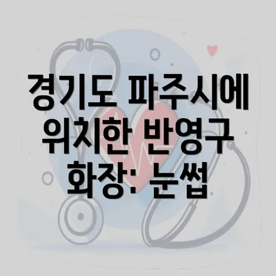 경기도 파주시에 위치한 반영구 화장: 눈썹