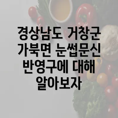 경상남도 거창군 가북면 눈썹문신 반영구