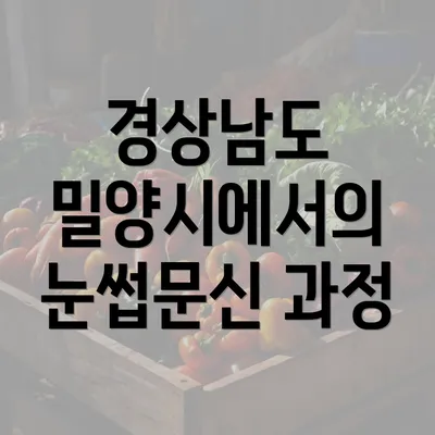 경상남도 밀양시에서의 눈썹문신 과정