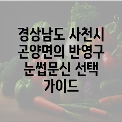 경상남도 사천시 곤양면의 반영구 눈썹문신 선택 가이드