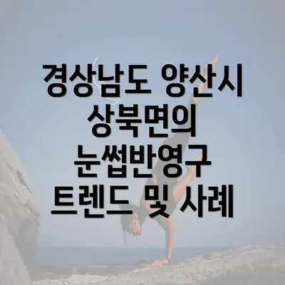 경상남도 양산시 상북면의 눈썹반영구 트렌드 및 사례