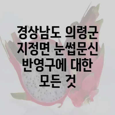 경상남도 의령군 지정면 눈썹문신 반영구에 대한 모든 것