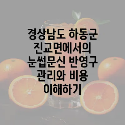 경상남도 하동군 진교면에서의 눈썹문신 반영구 관리와 비용 이해하기