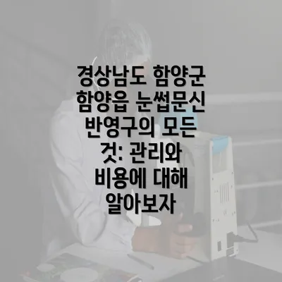 경상남도 함양군 함양읍 눈썹문신 반영구의 기본 이해