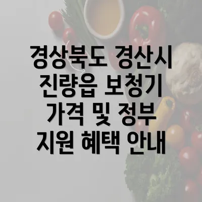 경상북도 경산시 진량읍 보청기 가격 및 정부 지원 혜택 안내