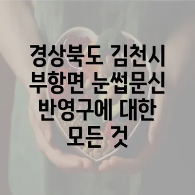 경상북도 김천시 부항면 눈썹문신 가격 및 비용 정보