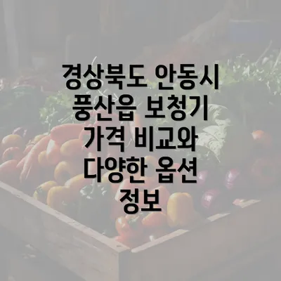 경상북도 안동시 풍산읍 보청기 가격 비교 및 정부 지원 정보