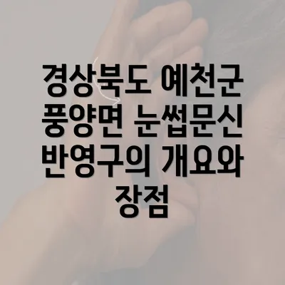 경상북도 예천군 풍양면 눈썹문신 반영구의 모든 것: 비용