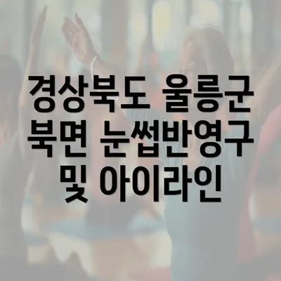 경상북도 울릉군 북면 눈썹반영구 및 아이라인