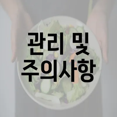 관리 및 주의사항