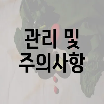 관리 및 주의사항