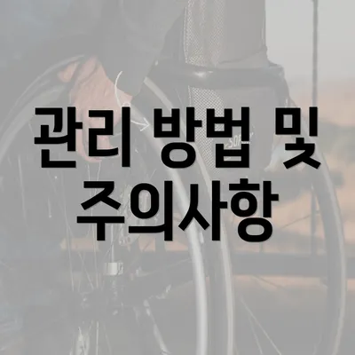 관리 방법 및 주의사항